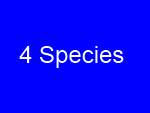 Foto Galerie/AAA/Species_04.png